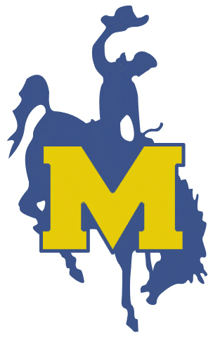 McNeese State Cowboys 1987-2003 Primary Logo iron on transfers for fabric